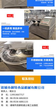 福建小型斬拌機哪家好 諸城利特機械公司高清圖片 高清大圖