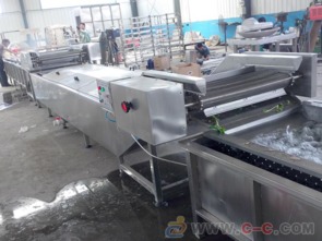 華易達蒸汽式小型新疆椒蒿500型清洗漂燙機