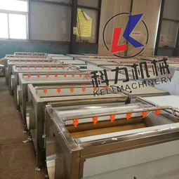 【花生去泥清洗機圓蔥去皮清洗機價格專業生產廠家】- 