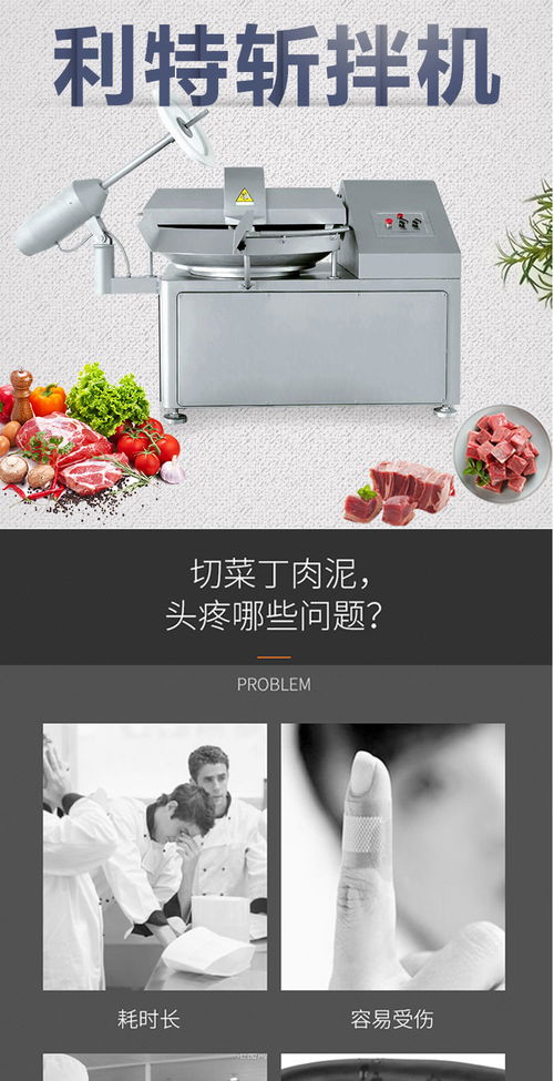 福建小型斬拌機哪家好 諸城利特機械公司高清圖片 高清大圖